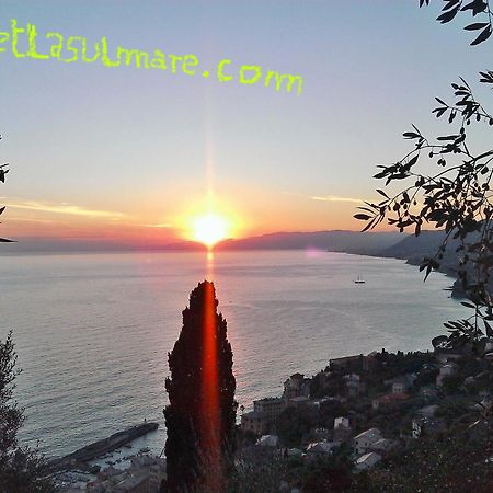 Villetta Sul Mare Камольи Экстерьер фото