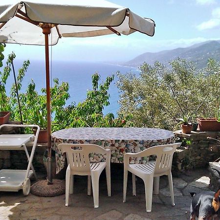 Villetta Sul Mare Камольи Экстерьер фото