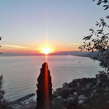 Villetta Sul Mare Камольи Экстерьер фото